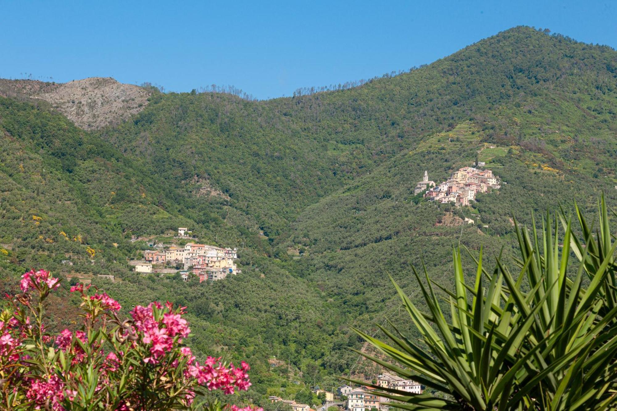 Villa Dell'Erta - Levanto Montale  Exterior photo